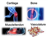 Regenerative Medicine