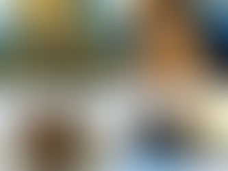 Website Activity- Images