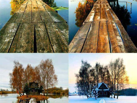 Website Activity- Images