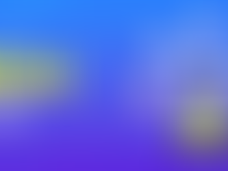 Final Essay- Signature Assignment