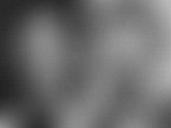 Web Activity- Photo/Image Search Activity