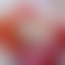 [Vegan] Cardamom Cinnamon Knots 