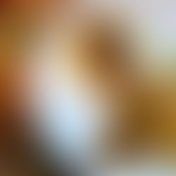 Tempeh Mushroom Walnut Taco Filling