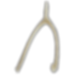 wishbone.png