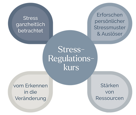 Stress regulieren und abbauen mit einer ganzheitlichen Betrachtung, dem Erforschen von persönlichen Stressmustern, dem Erkennen von Veränderungen und dem Stärken von Ressourcen