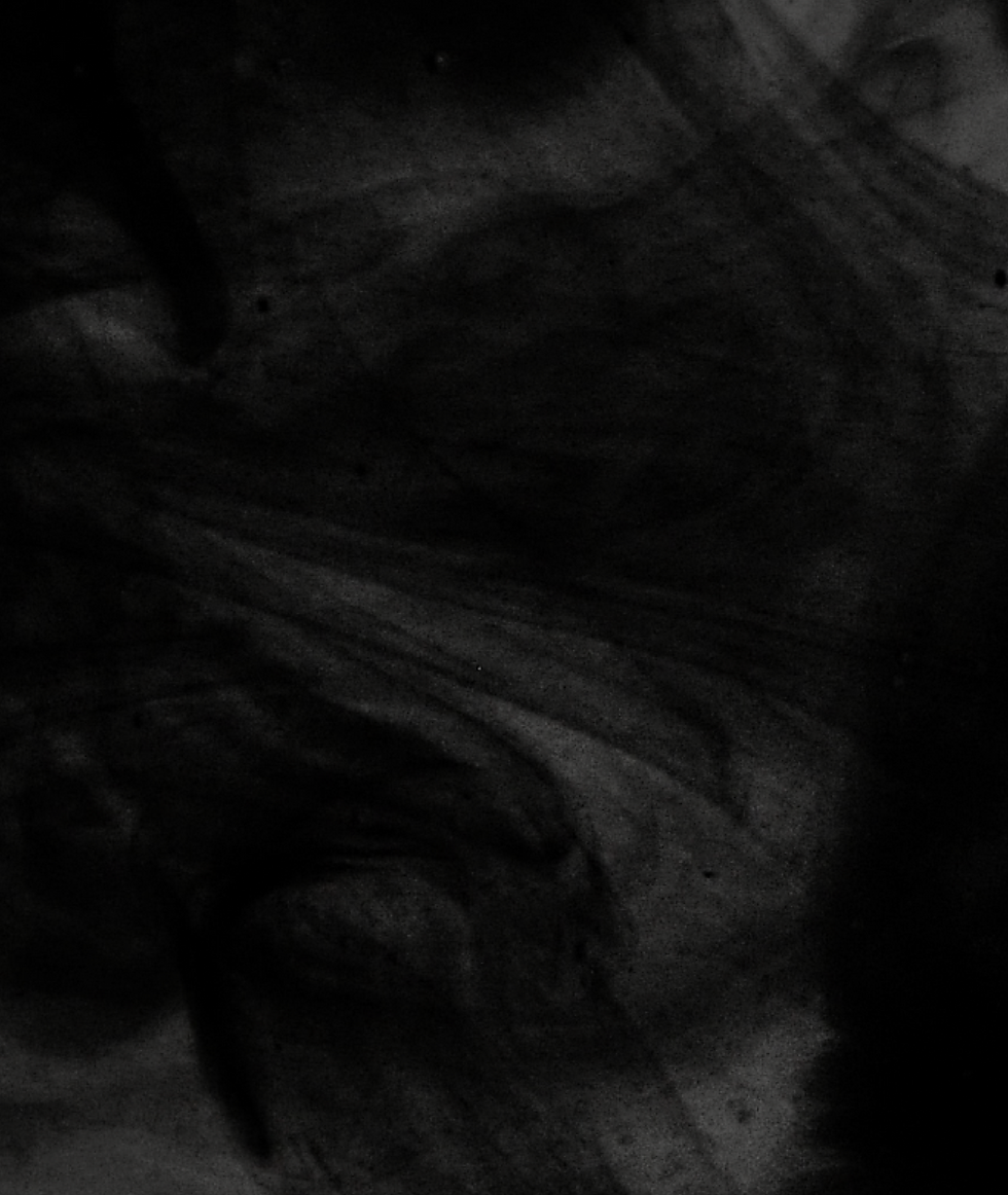 Hintergrund leer_edited_edited.png