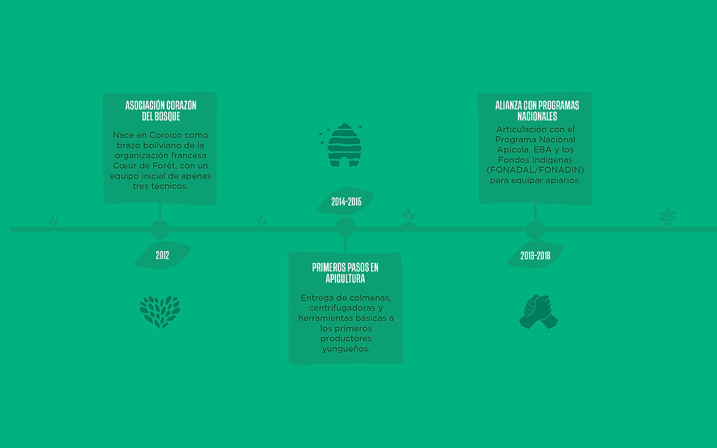 Timeline-01.jpg