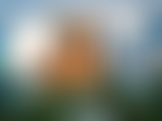 EIVSOM Summit Mexico 2025-2026: Grounded in Emotional Intelligence & Values Systems, Focused on Impact. 