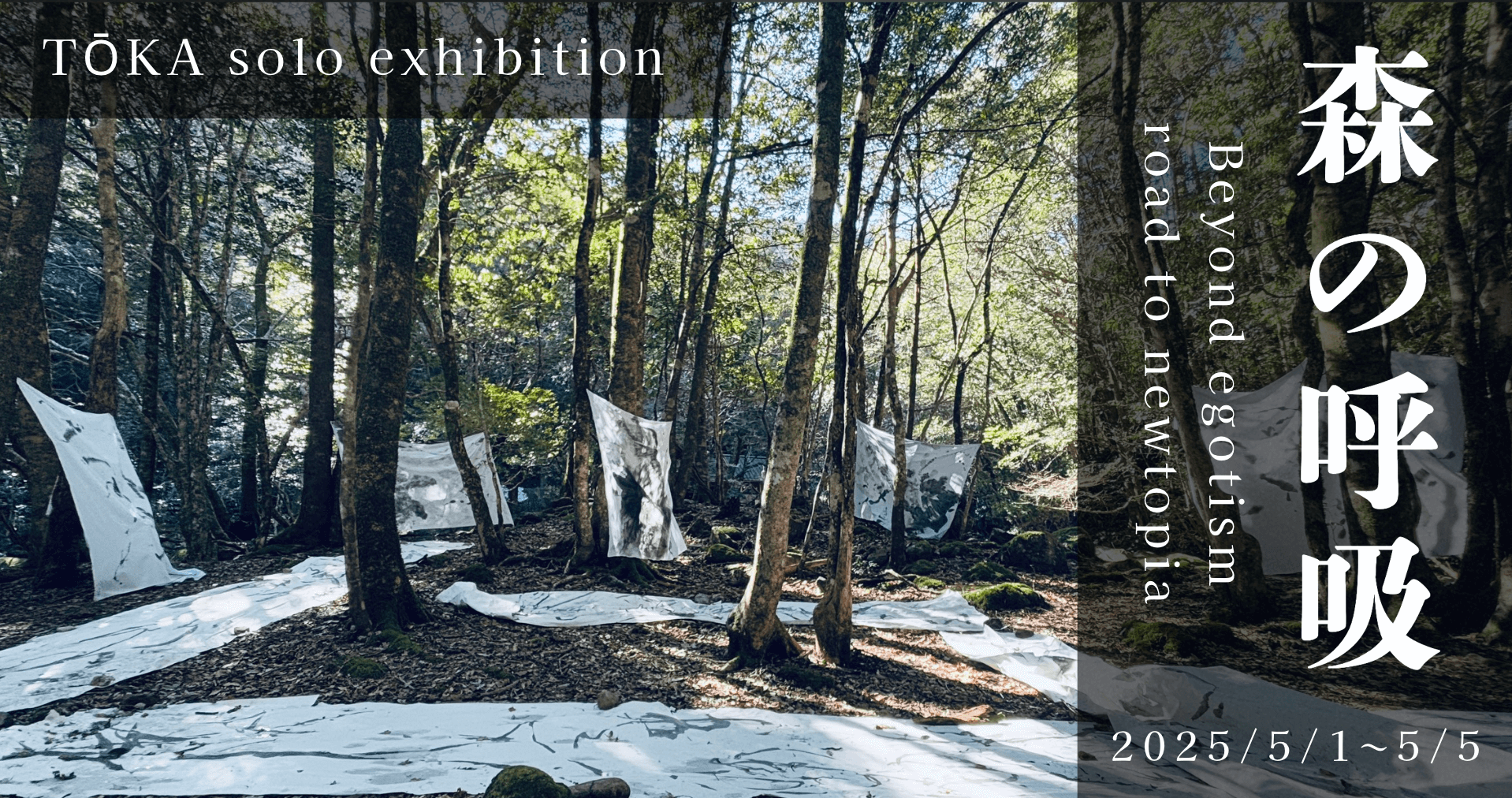 第5回個展『 森の呼吸 』を開催します
