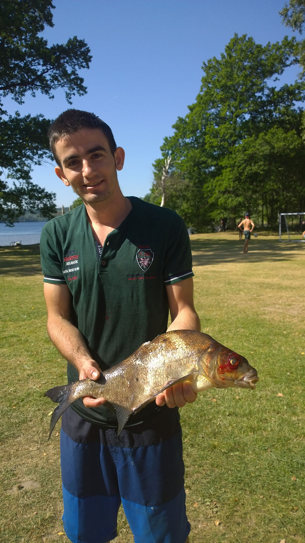 fiska alingsas