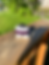 Thumbnail: Pride Mushrooms - Mini
