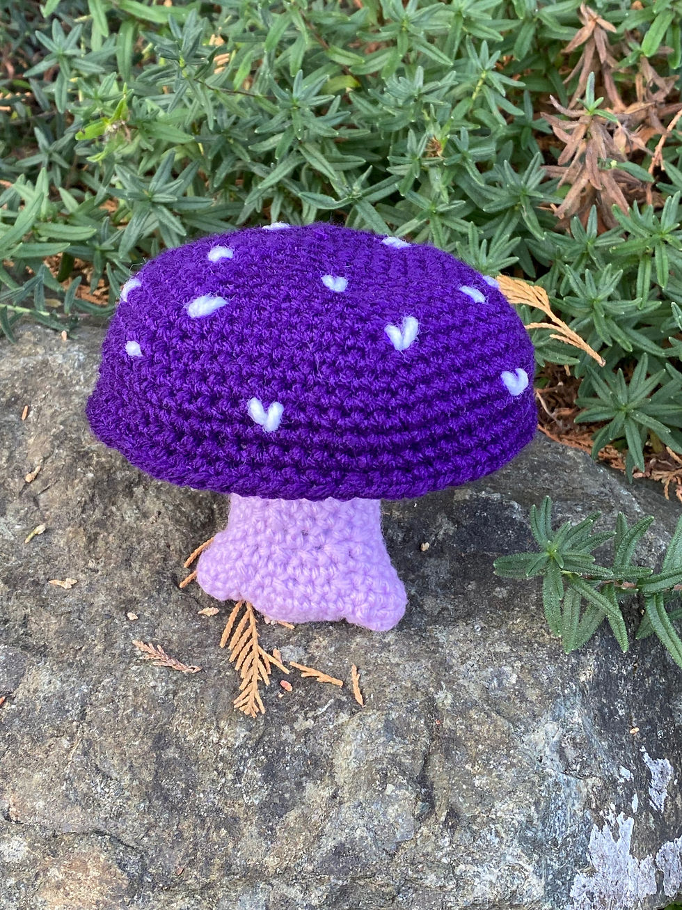 Thumbnail: Viscid Violet Cort Mushroom Buddy