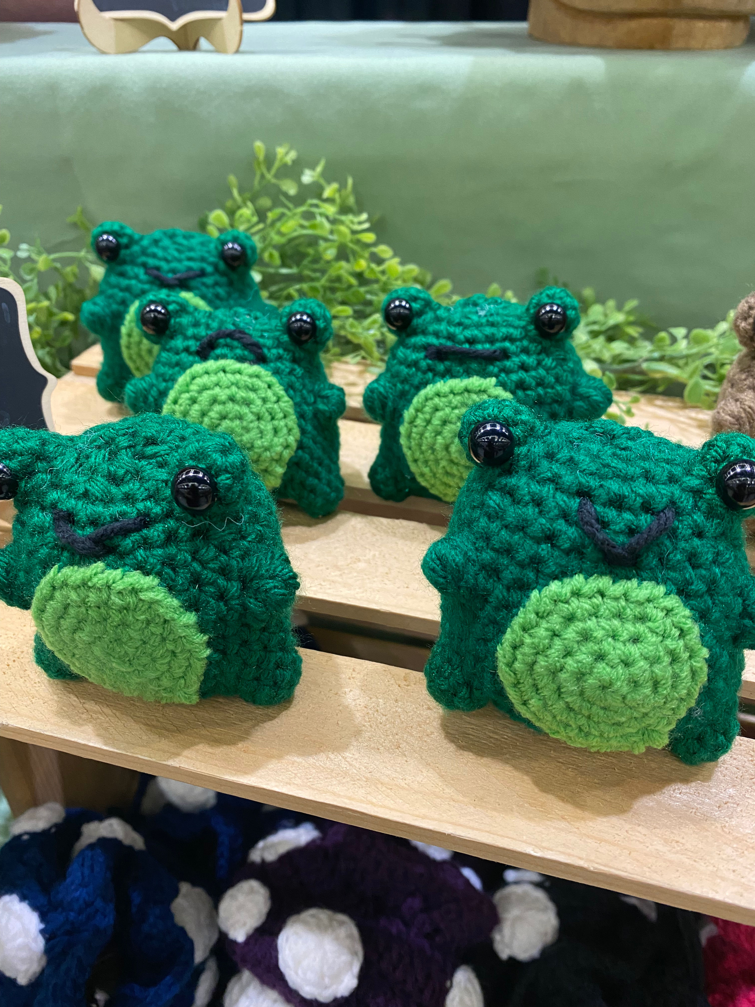 Frogs & Toads