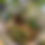 Thumbnail: Mini Morel