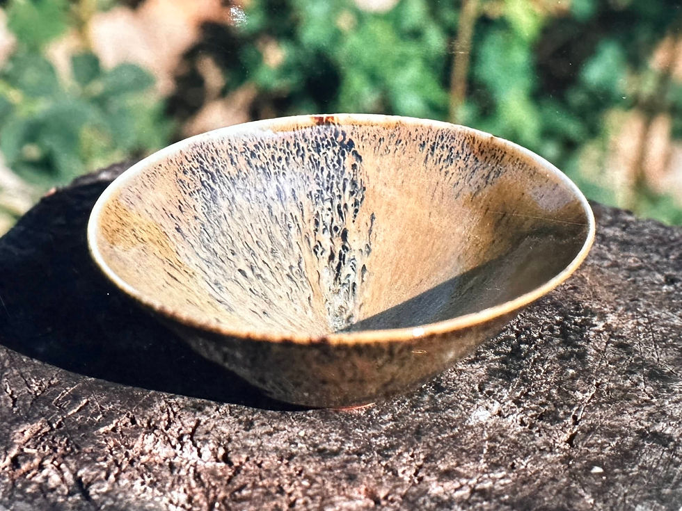 11 Céramiste contemporain - Coupe.jpg