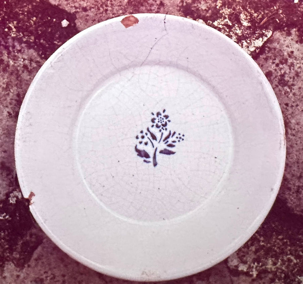 4 Faïence de Beauvais XIXe - Assiette