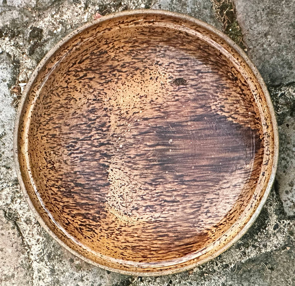 39 Terres vernissées diverses - Plat . Assiette décors par couleur.jpg