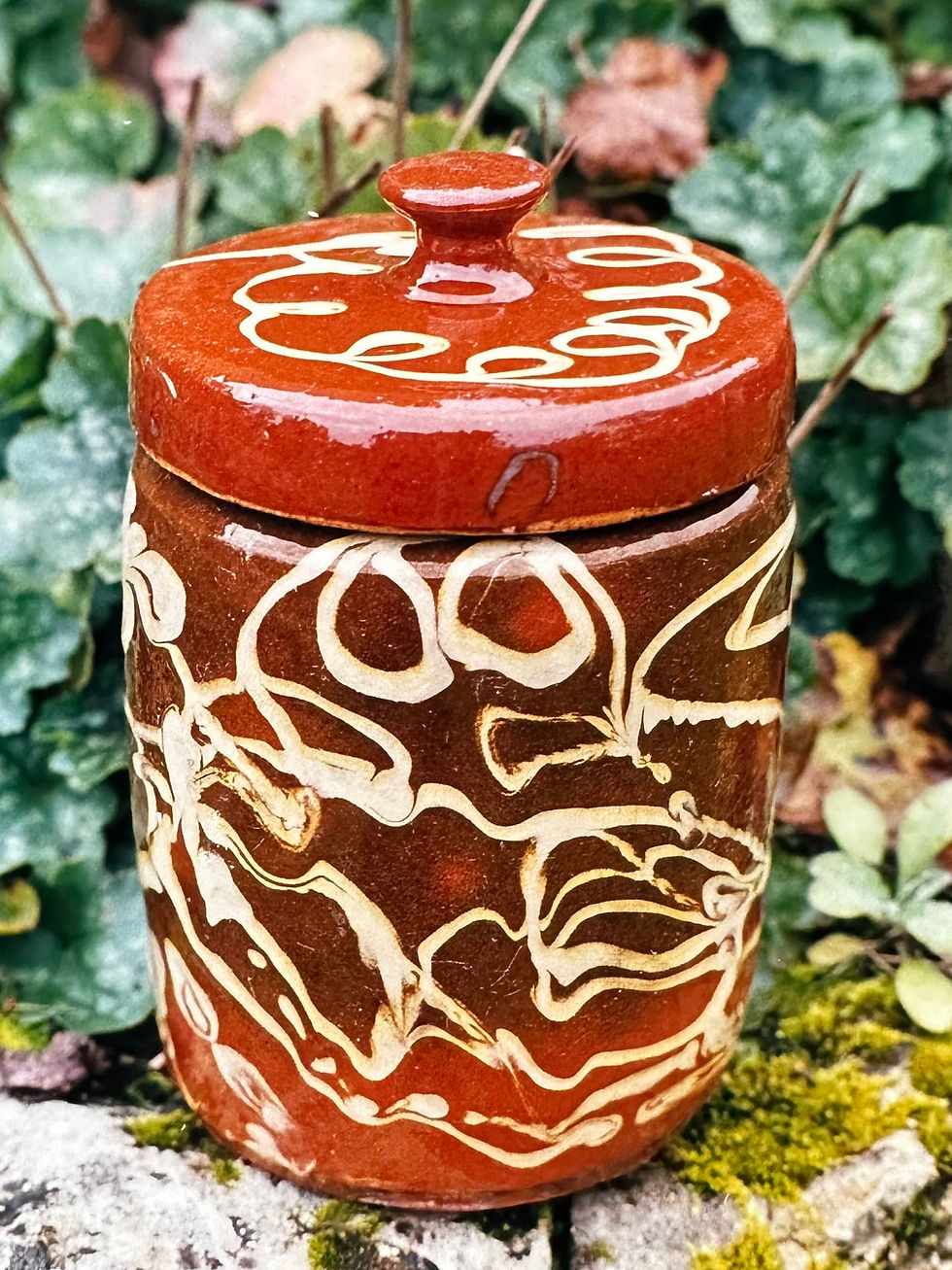 20 Terres du Midi - Pot