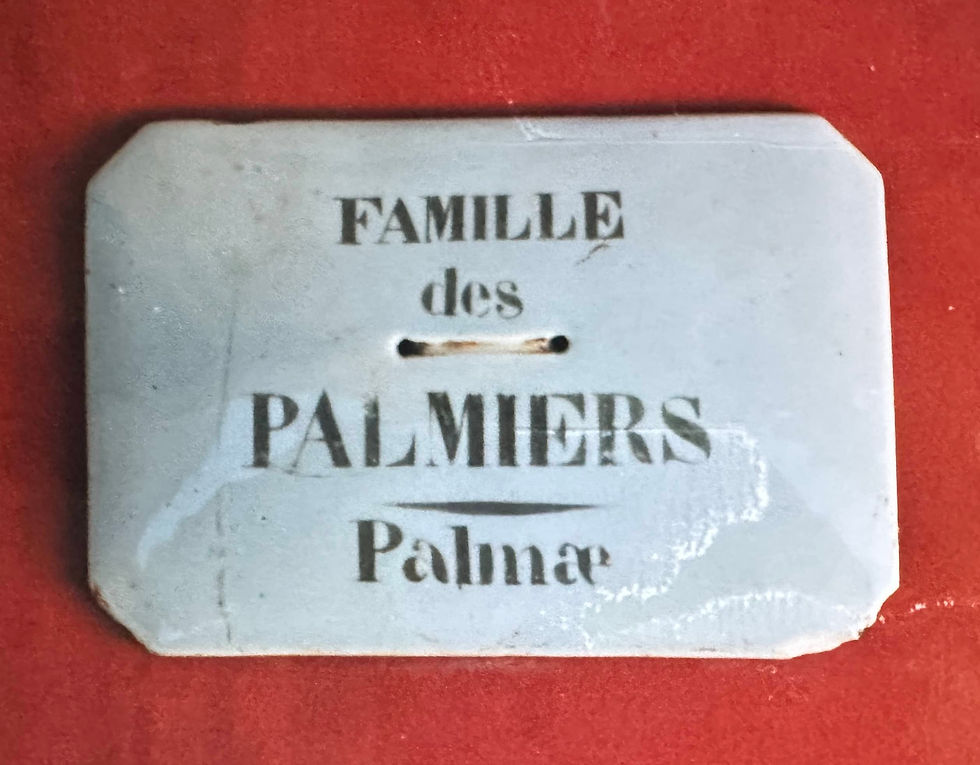 6 Faïence du Beauvaisis XIXe - Objets divers