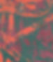 box webpage .jpg