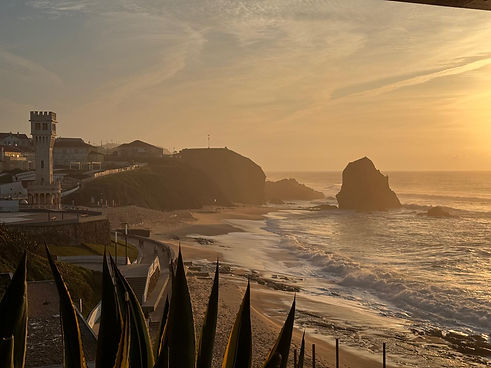 WhatsApp Image 2026-01-15 at 15.38.43.jpeg