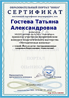Серт Т Копилка.png