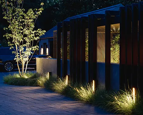 Plant-Lighting