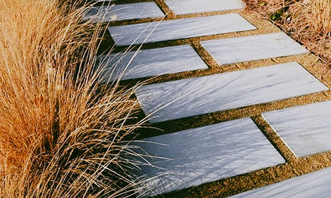 StoneWalkways:NativePlanting