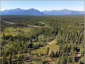 WAS Beekeeping Region Spotlight - Yukon Territory (Canada)