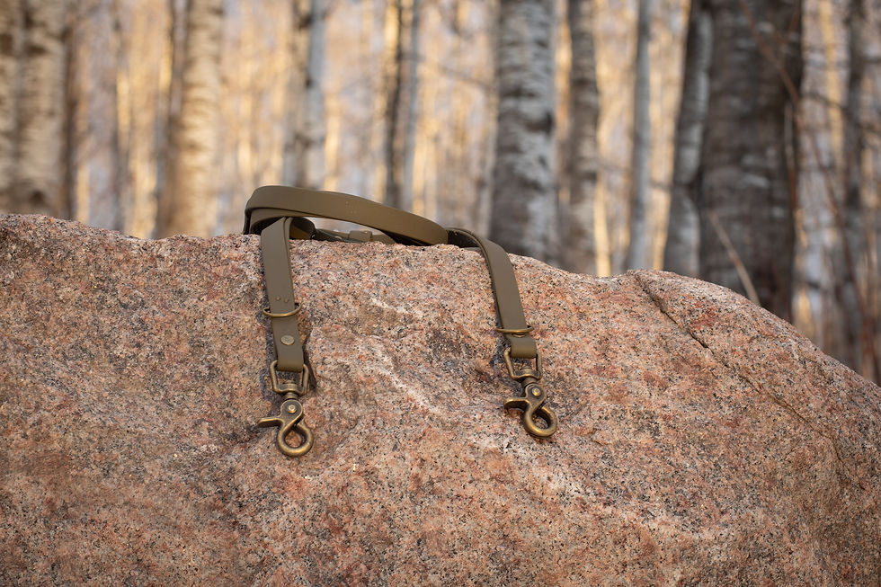 Thumbnail: Biothane Adventure Leash