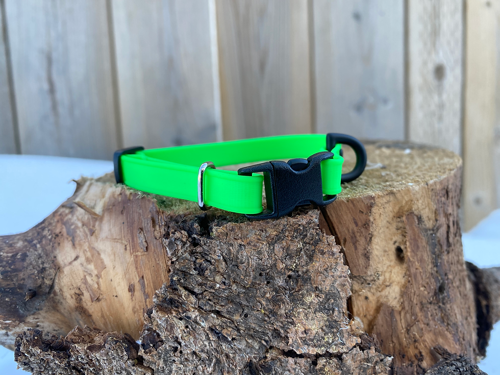 Thumbnail: 3/8" Adjustable Adventure Cat Collar