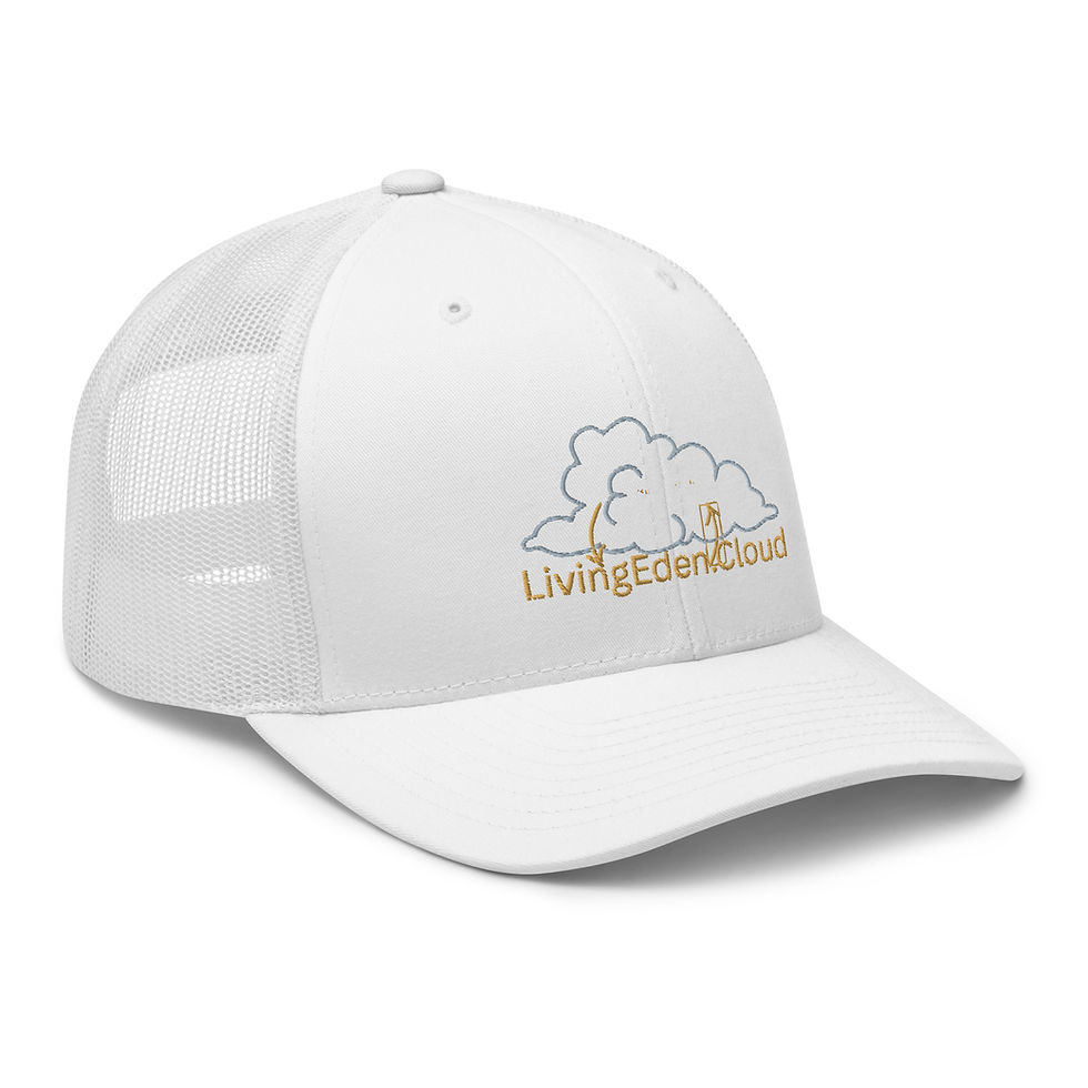 Thumbnail: Retro Hat