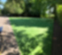 IMG_0423.JPEG