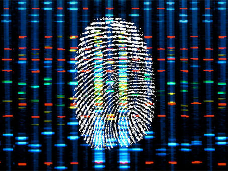 DNA Profiling - A Criminal’s Worst Nightmare