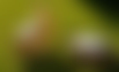 Are banks and Fintechs in a race like the tortoise and the hare?