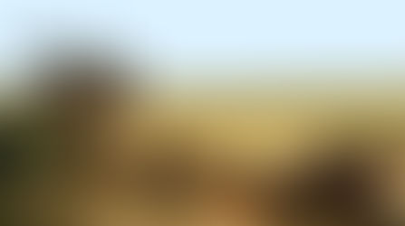 PEÇAS E SERRAS WOOD-MIZER