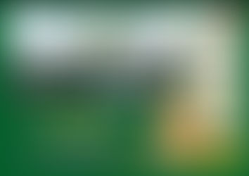 Open Day Rugby Lyons