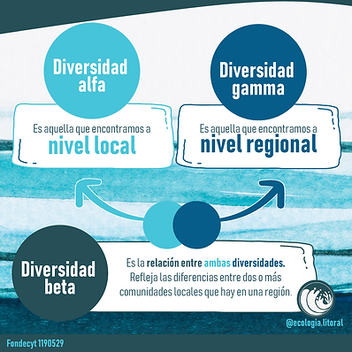 Infografia5Mesa de trabajo 2.png