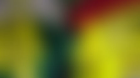 100 Jahre Freiwillige Feuerwehr Wörrstadt - Das Kommando