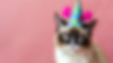 grumpylooking-cat-wearing-birthday-hat-against-pink-background.jpg