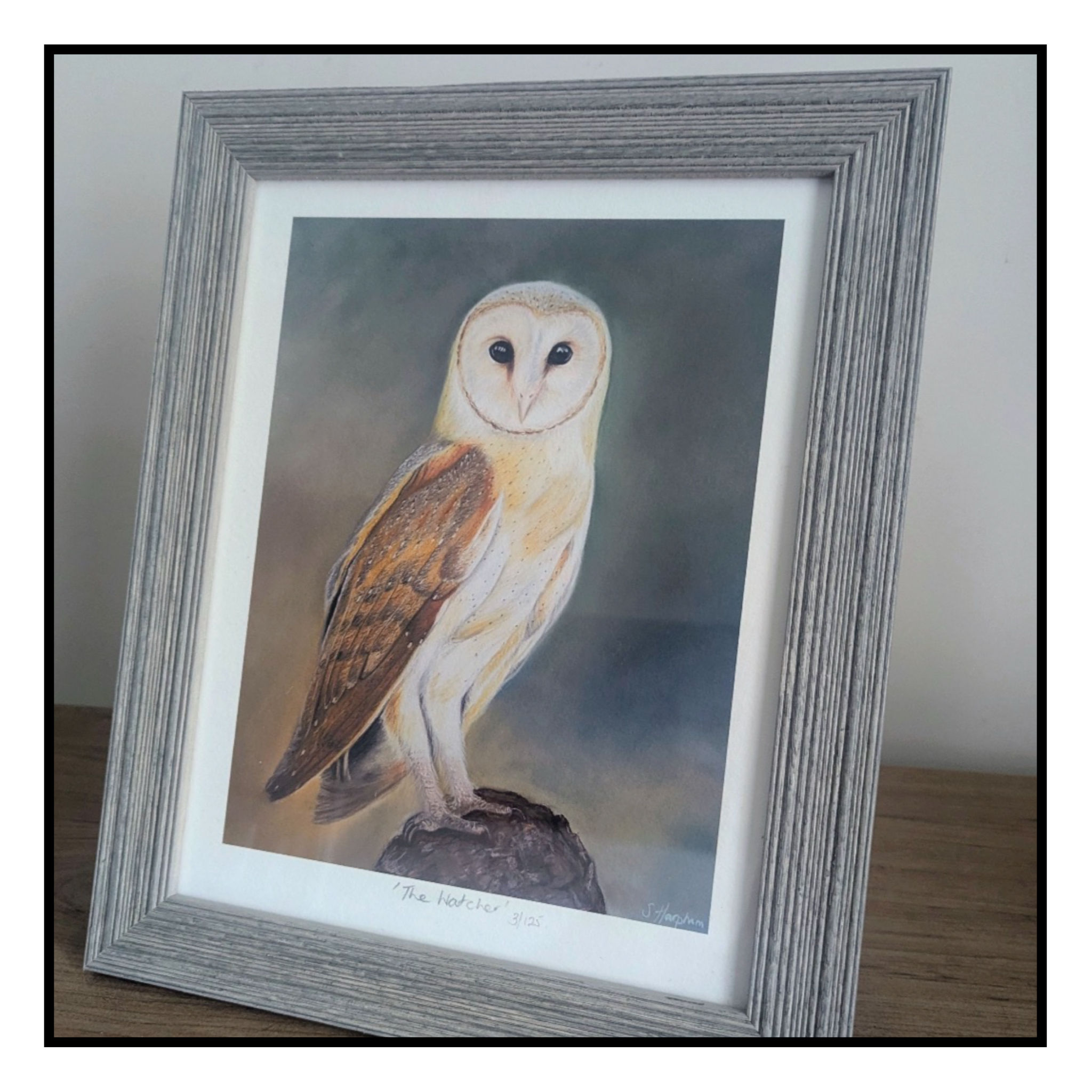 Susannah Harpham Art 'The Watcher' Framed Print