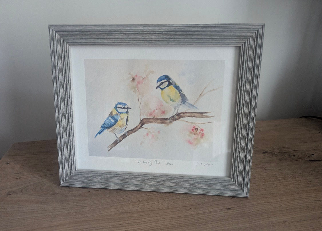 Susannah Harpham Art 'A Lovely Pair' Framed Print