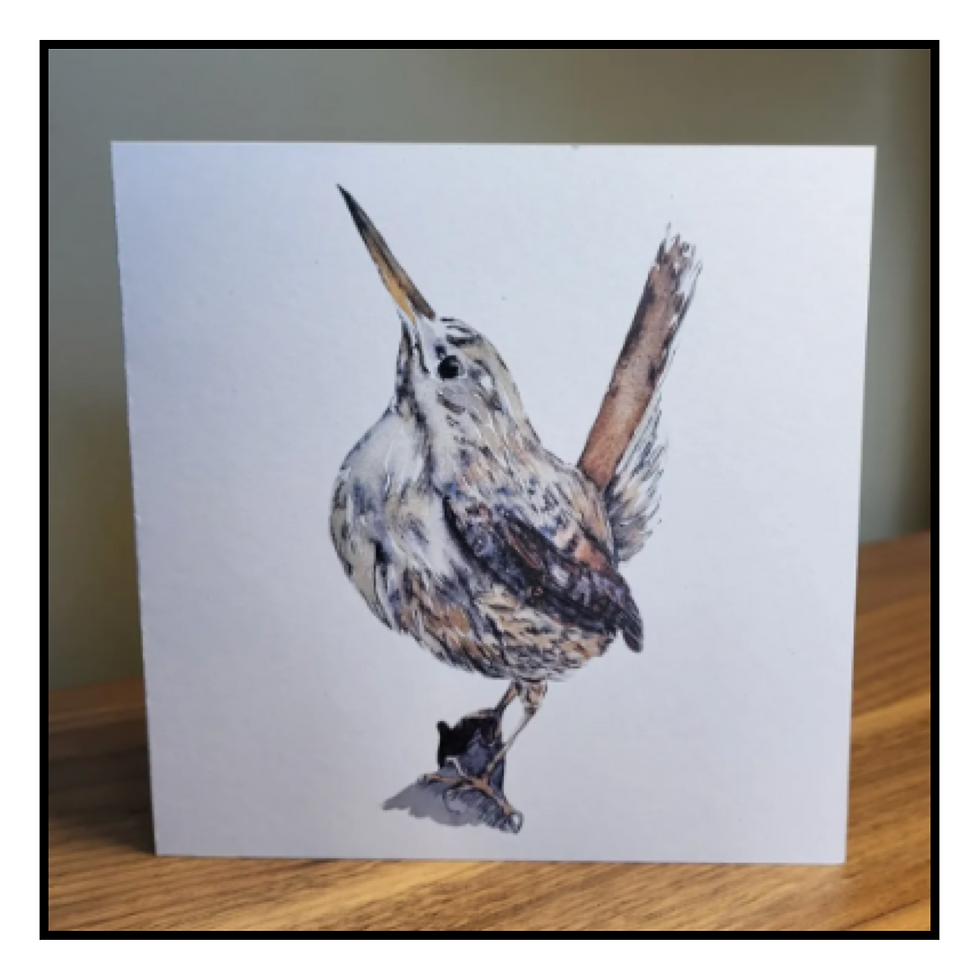 Thumbnail: Studio 42 Illustration Cards