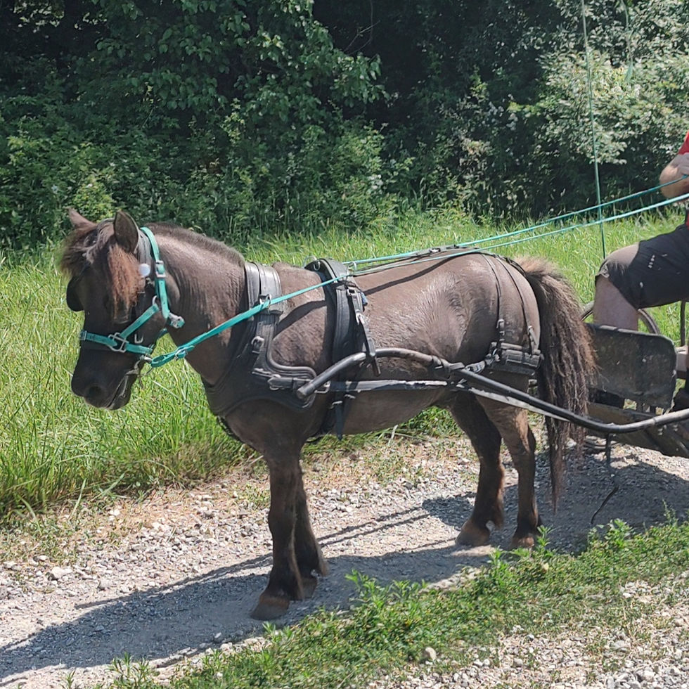 IMG_20240526_151437742_HDR_edited