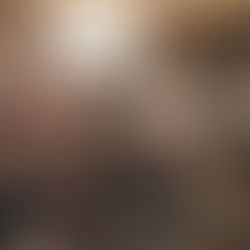 ACILI İZMİR TULUMU PEYNİRİ KIZARTMASI