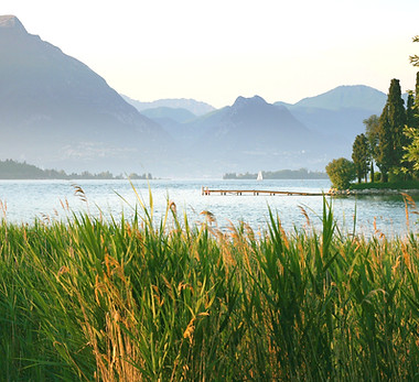 vue sur le lac