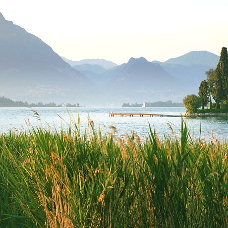 Lake View