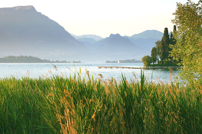 Lake View