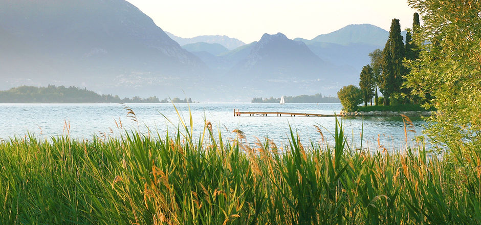 Lake View
