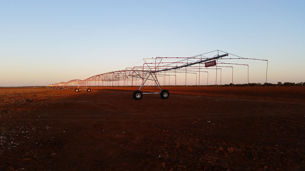 Pivot Sunset